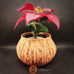 ALIEN PLANTER / VASE / PEN HOLDER 3d model