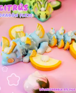 Citrus Dragon Flexi 3d model