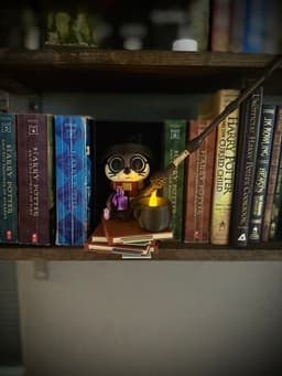 Harry Otter Book Nook Set STL 3d model