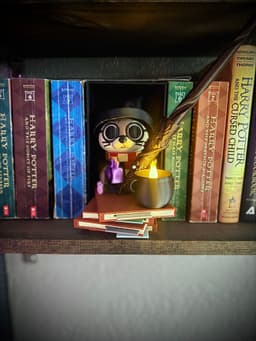 Harry Otter Book Nook Set STL 3d model
