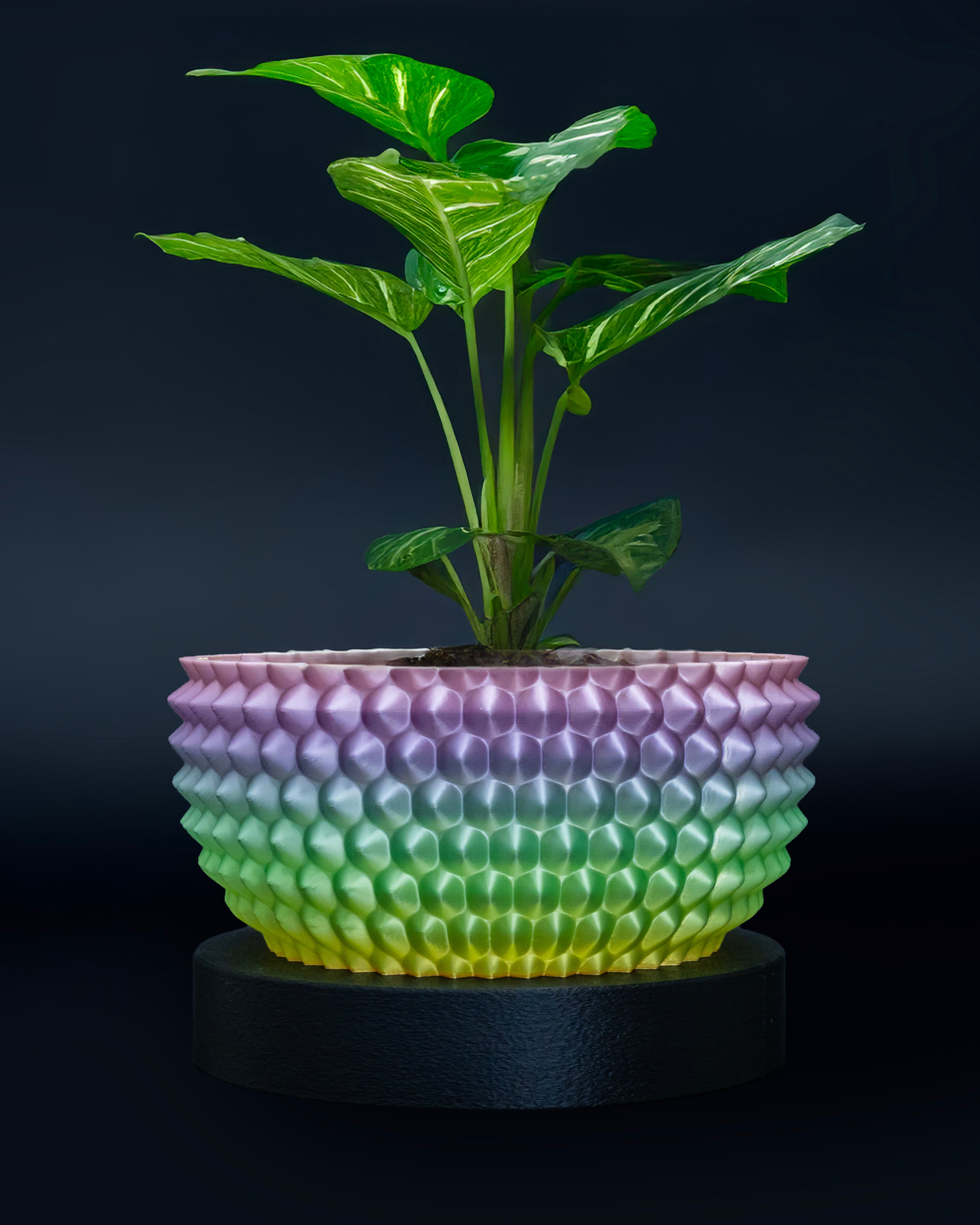 SPATHI Planter 03 // Small Plant Pot or Container 3d model