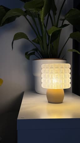 Classy Lamp 3d model