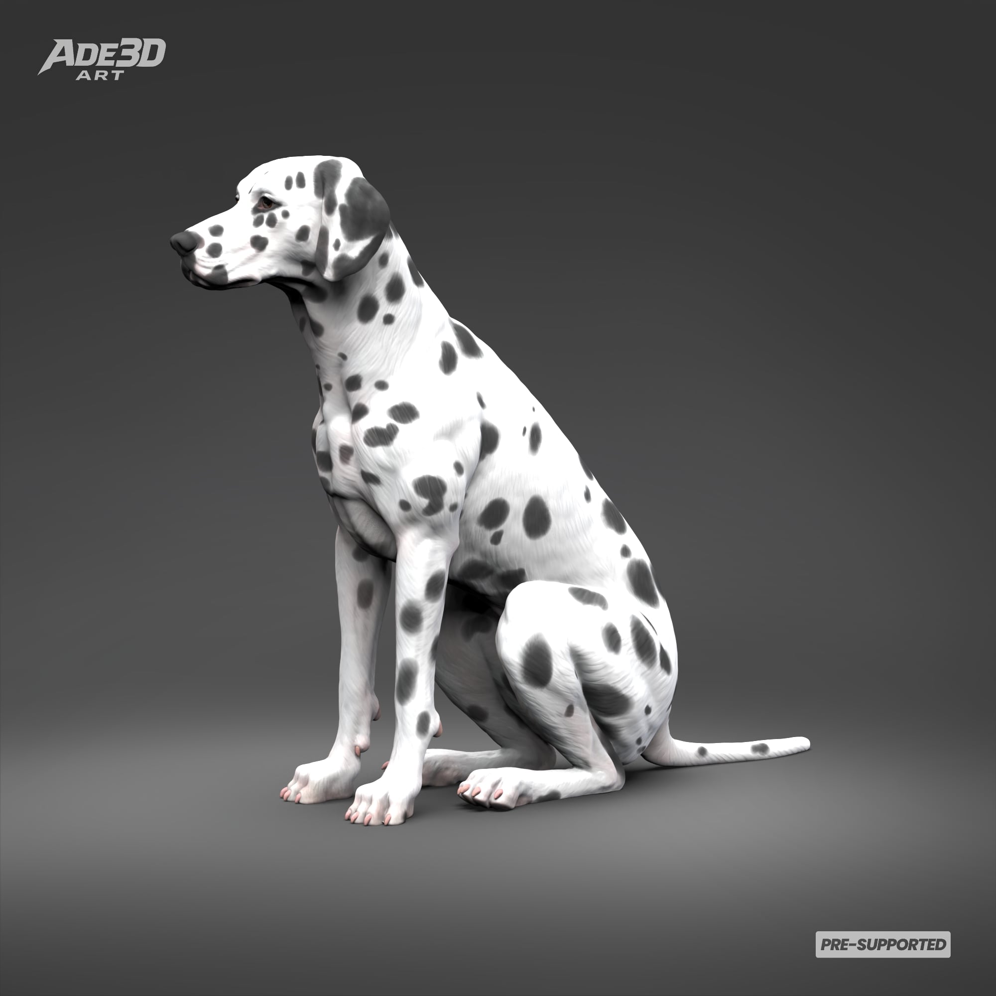 Dalmatian 3D Print Model Pose 03 3d model