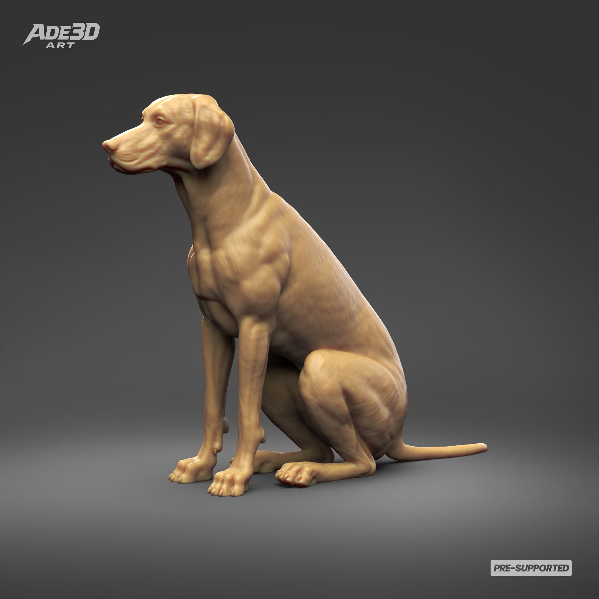 Dalmatian 3D Print Model Pose 03 3d model
