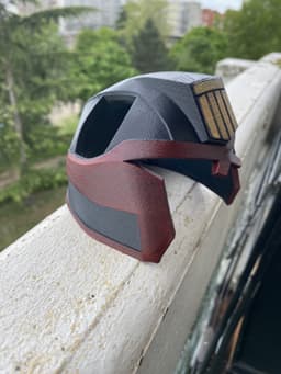 Judge Dredd Cat Helmet Multicolor 3d model