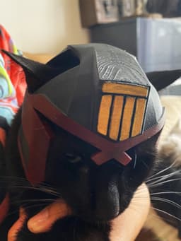 Judge Dredd Cat Helmet Multicolor 3d model