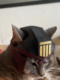 Judge Dredd Cat Helmet Multicolor 3d model