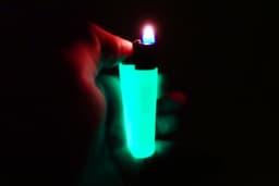 Clipper Lighter Case + Keychain 3d model