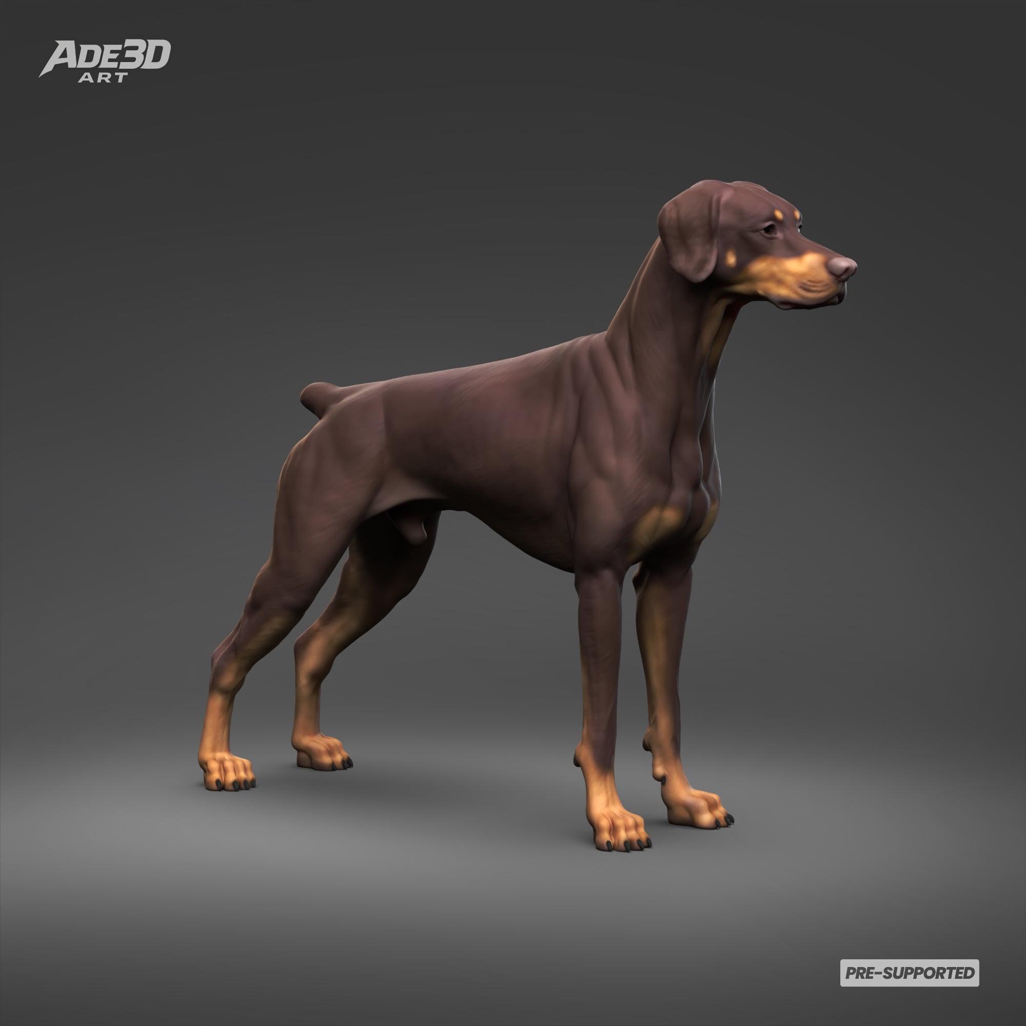Doberman Pinscher Natural Ears Docked Tail 3D Print Pose 01 3d model