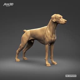 Doberman Pinscher Natural Ears Docked Tail 3D Print Pose 01 3d model