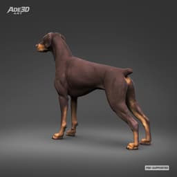 Doberman Pinscher Natural Ears Docked Tail 3D Print Pose 01 3d model