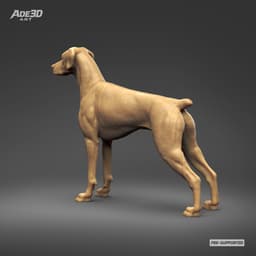 Doberman Pinscher Natural Ears Docked Tail 3D Print Pose 01 3d model