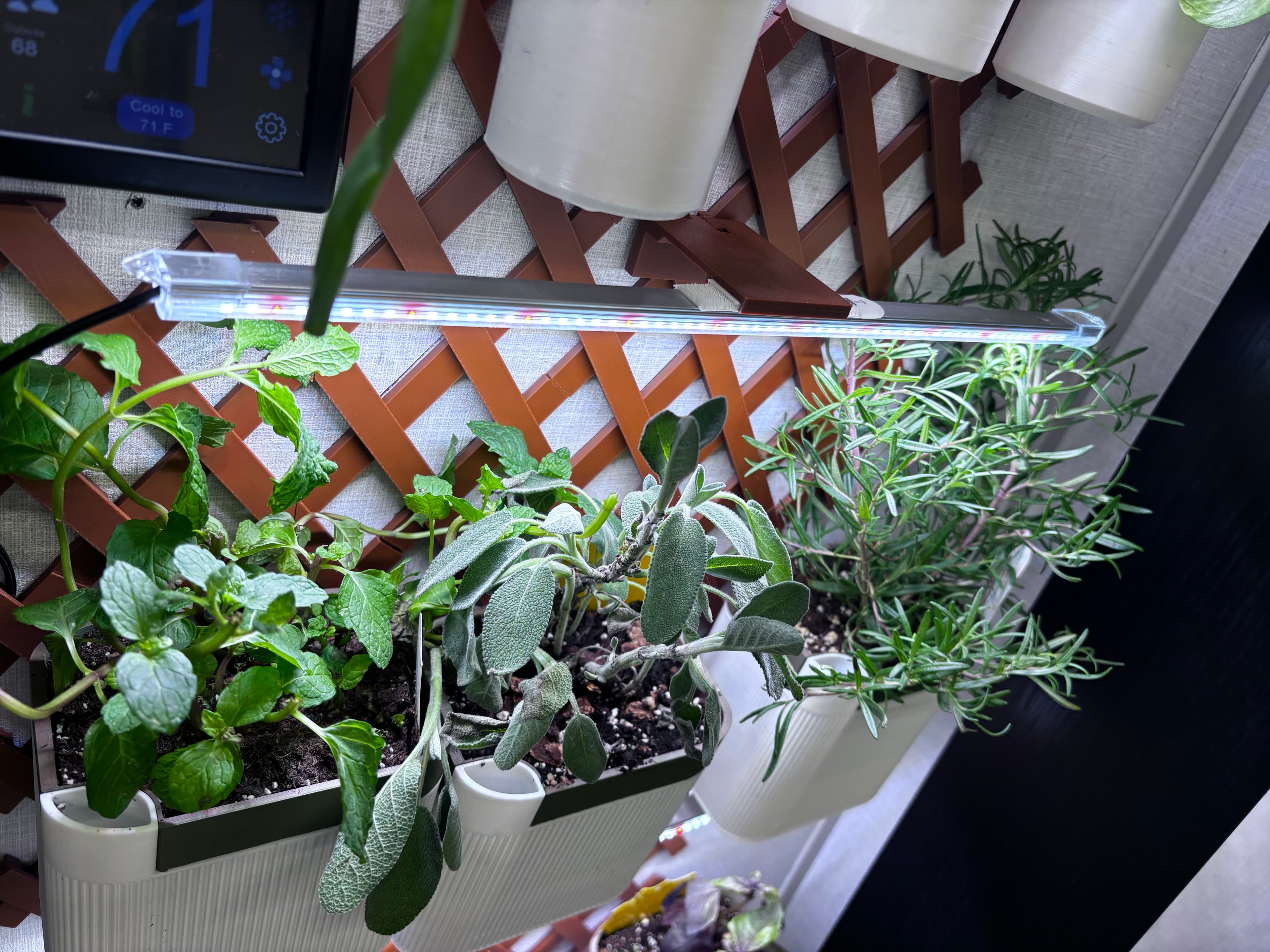 Botanical Bundle for Trellis - The grow light and adapters for the pots made this trellis so much more functional 🥳
This is on a wall of our camper where a slide comes in so taking things off the trellis is a must on travel days which these new additions made possible without new zip ties constantly being used - 3d model