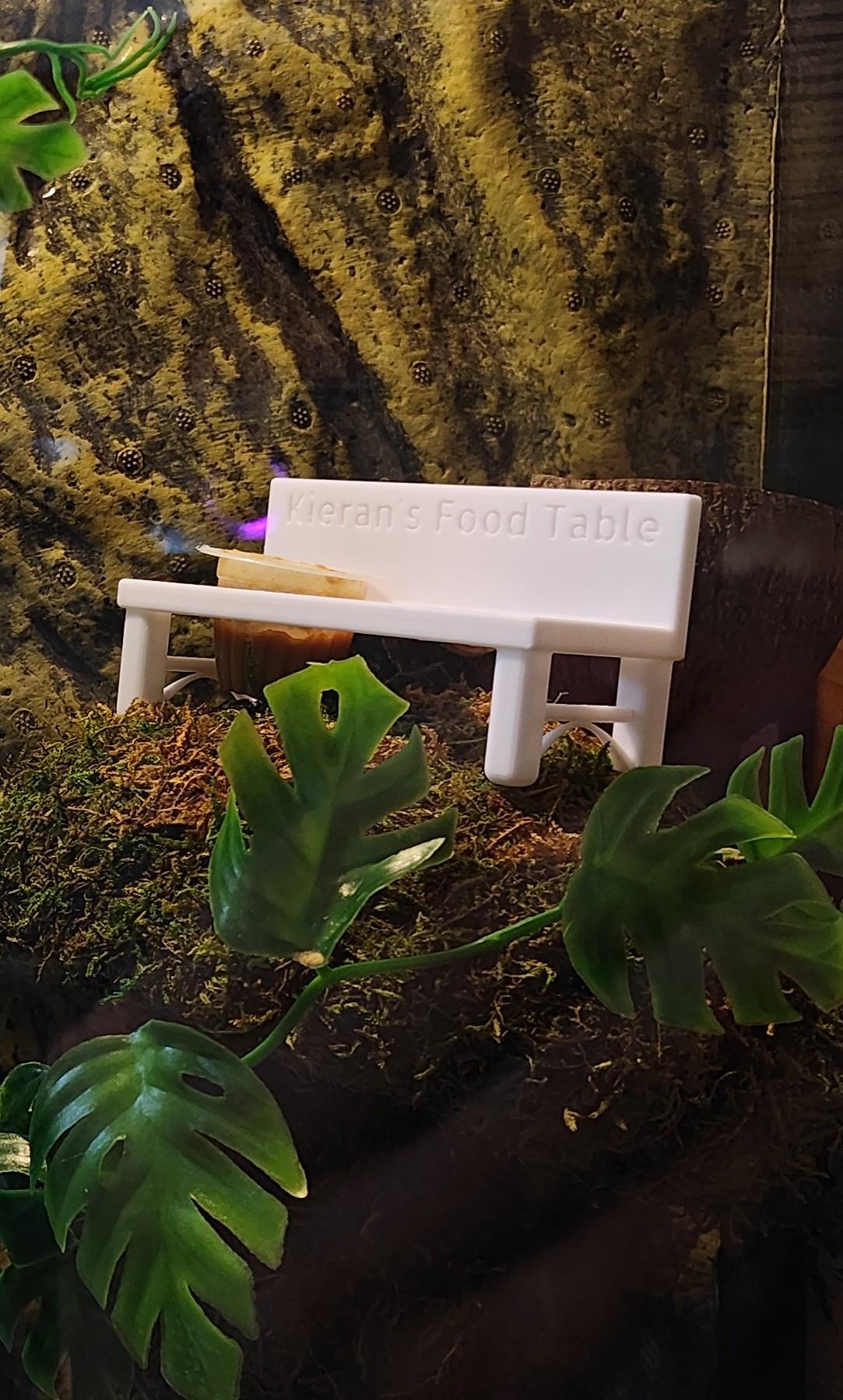 Crested Gecko Food Bench 3d model