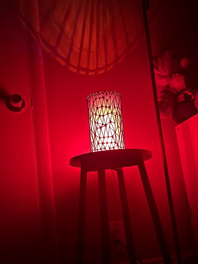 Abstract Vase or Lamp Shade.stl 3d model