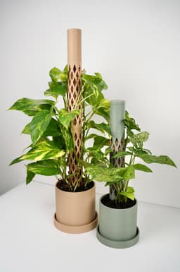 MOSS BUDDY - Moss Pole Starter Pack 3d model
