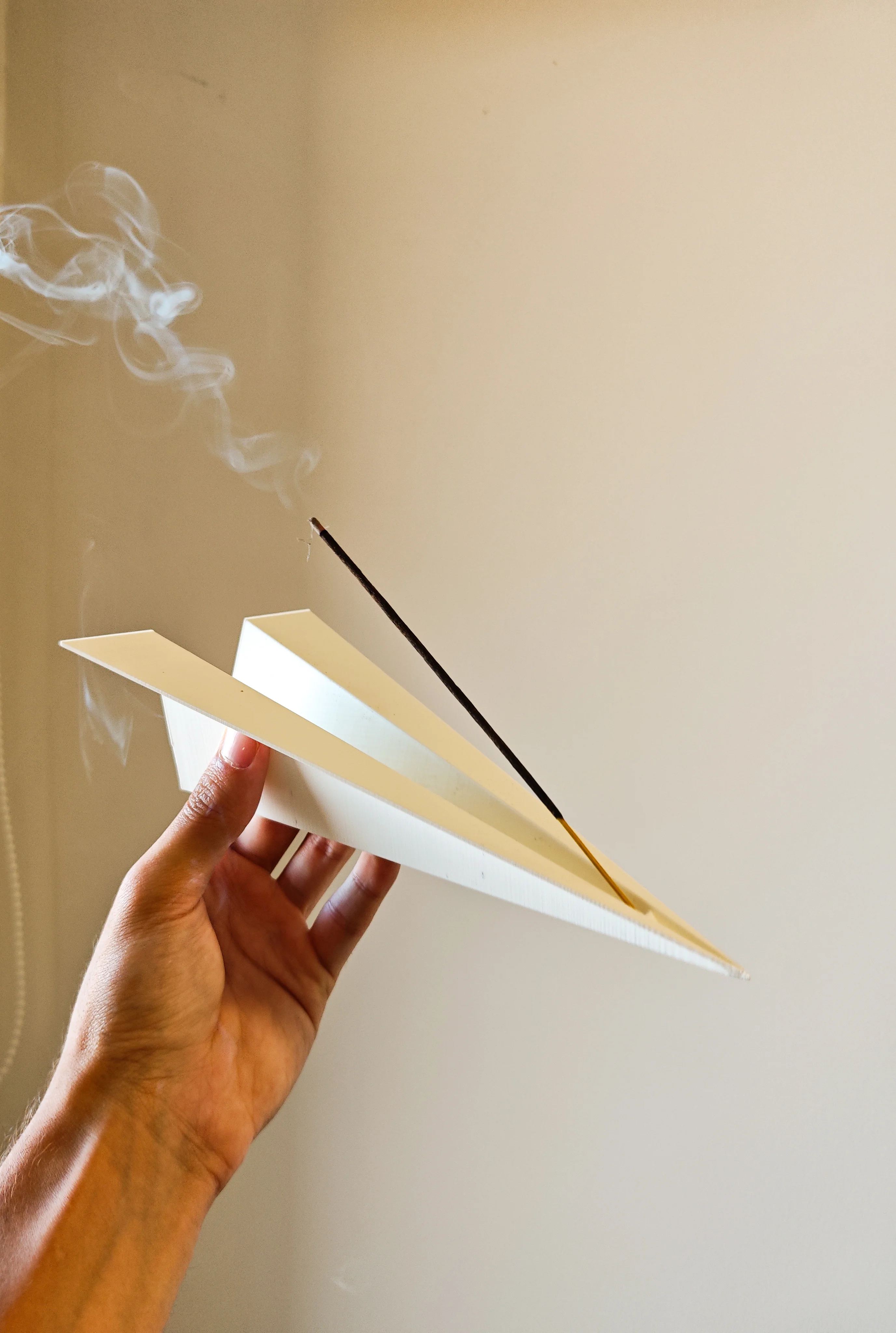 Zen Plane | Incense holder 3d model