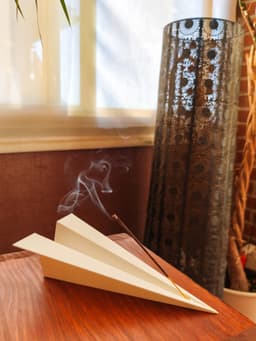 Zen Plane | Incense holder 3d model