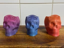 Wireframe skull pencil holder 3d model