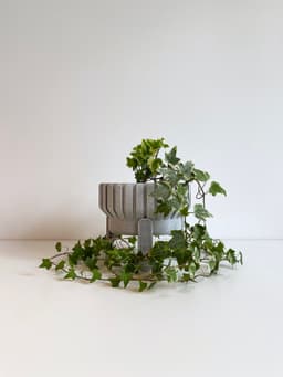 Plant Pot - Ripple S 3d model