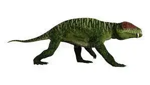 doliosauriscus 3d model