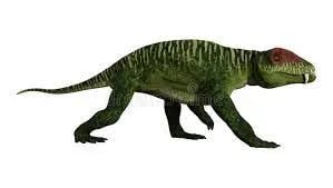 doliosauriscus 3d model