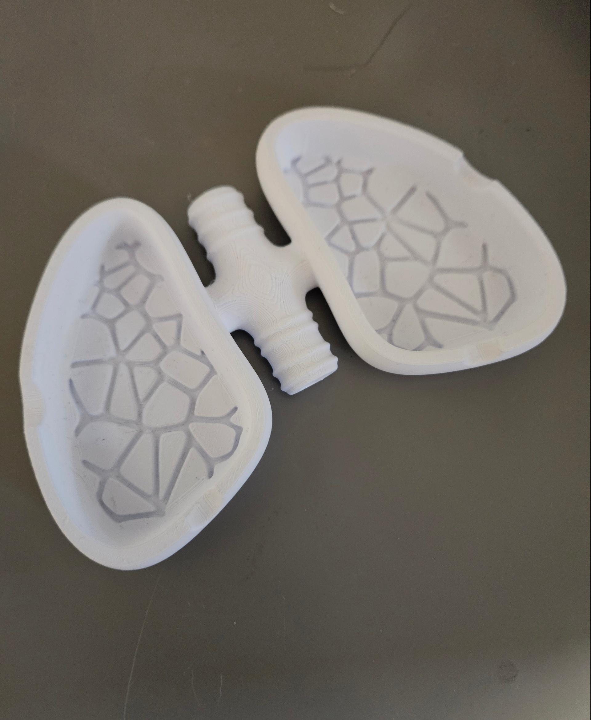 Ashtray Lungs - Motivational Ashtray - Polymaker PLA in cold white - 3d model