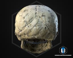 Ewok Skull - 3D Print Files 3d model