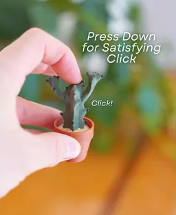 Clicky Cacti Pack 3 - Clicker Fidget Toy - Cactus Clickers - Pocket Plants Collection 3d model