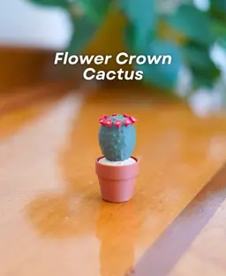 Clicky Cacti Pack 3 - Clicker Fidget Toy - Cactus Clickers - Pocket Plants Collection 3d model