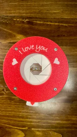Ring Elevator Box 3d model