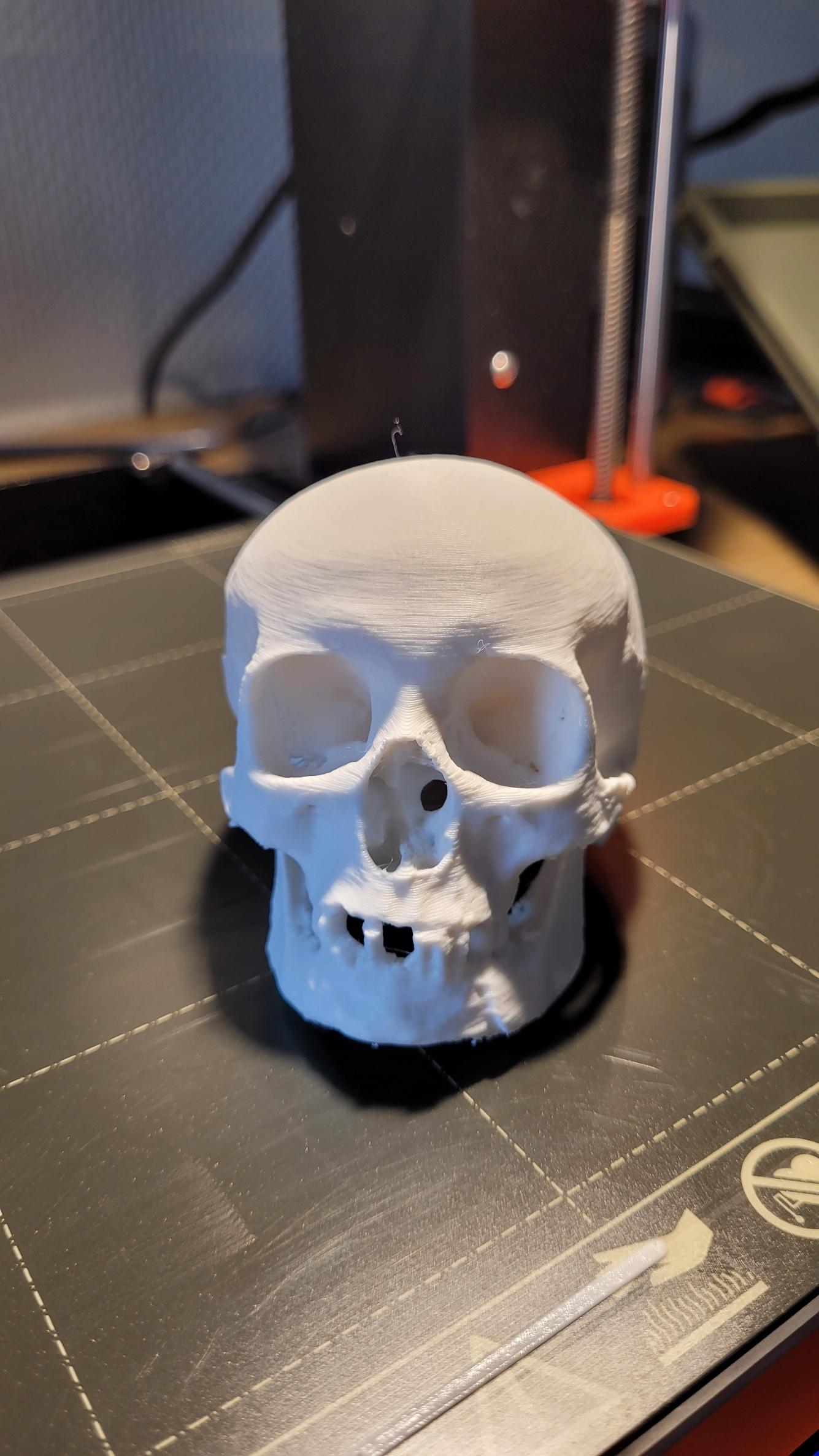 Real Skull.3mf 3d model