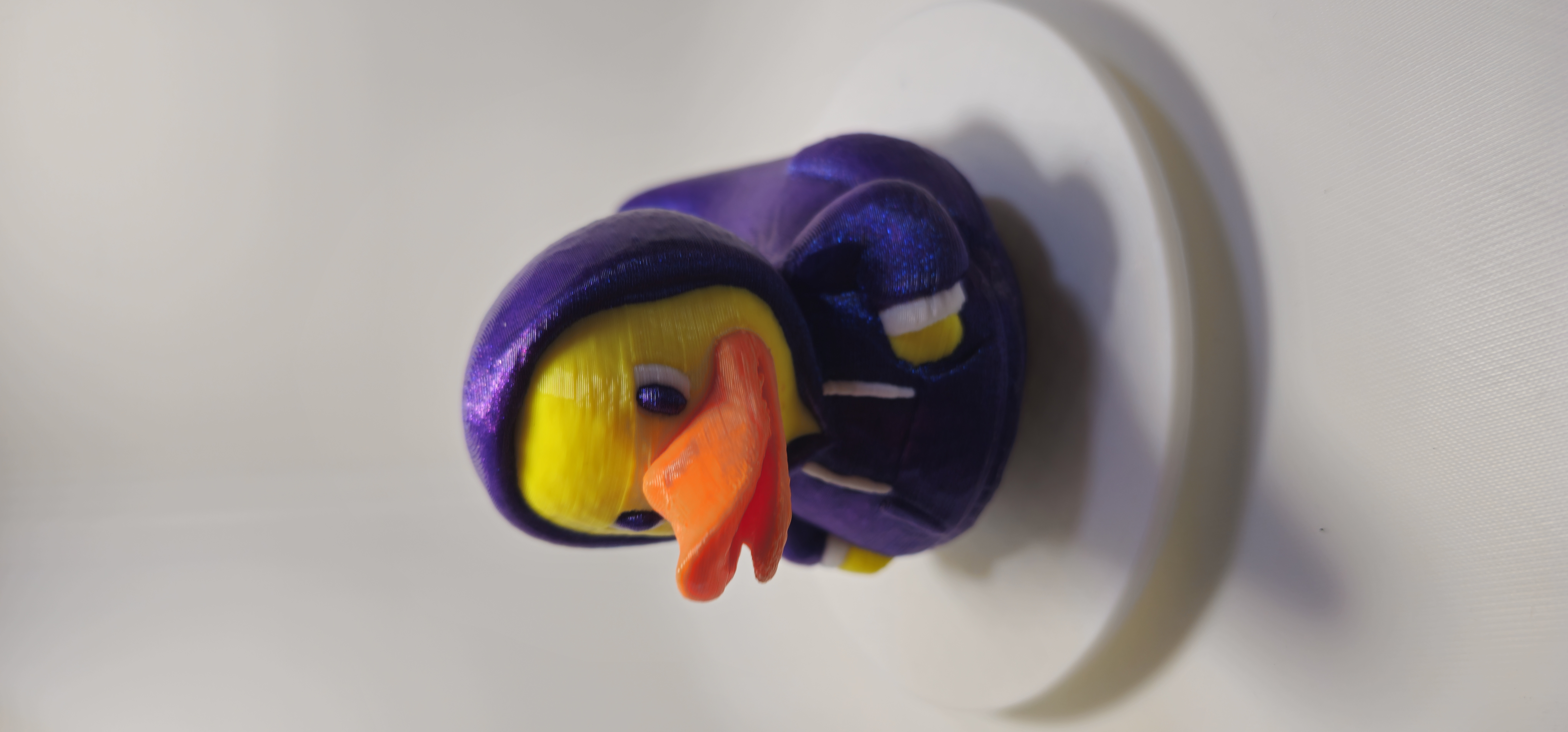 Hoodie Duck 3d model