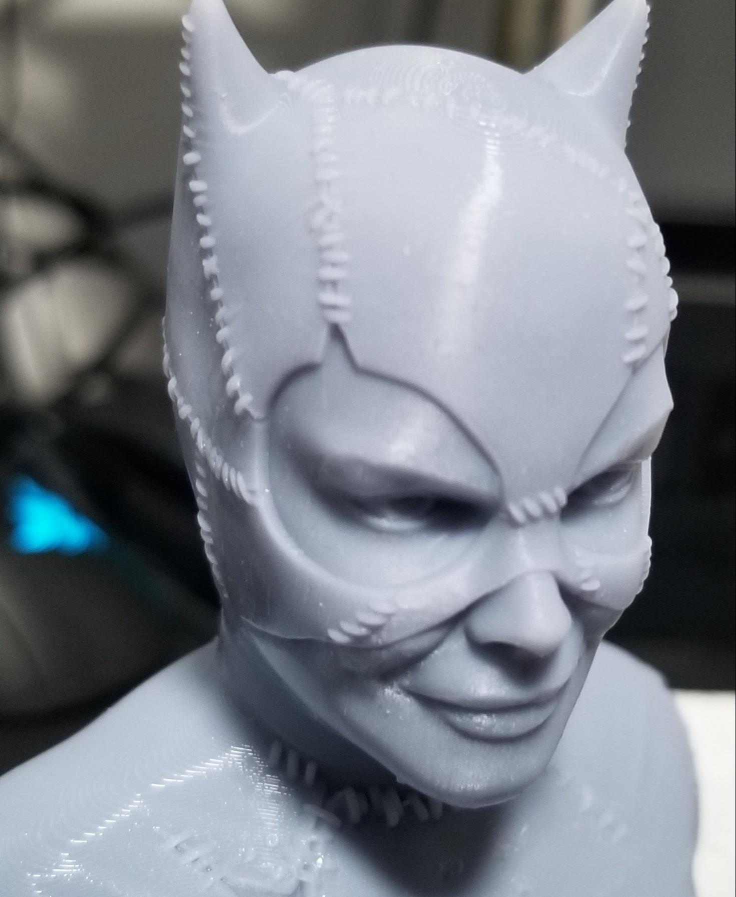 Catwoman (Tim Burton Version) (Pre Supported) 3d model