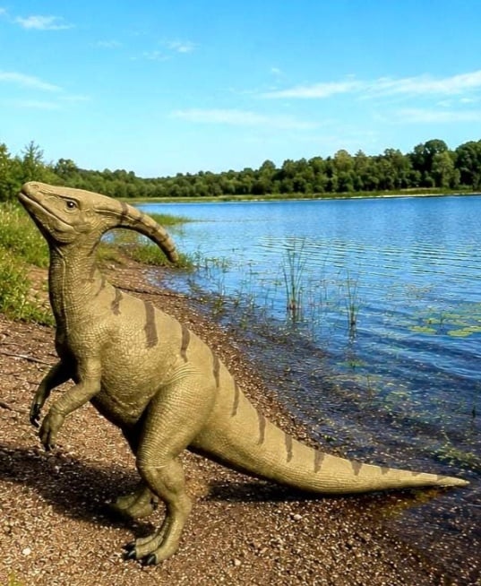 Realistic Parasaur Dinosaur Figurine 3d model