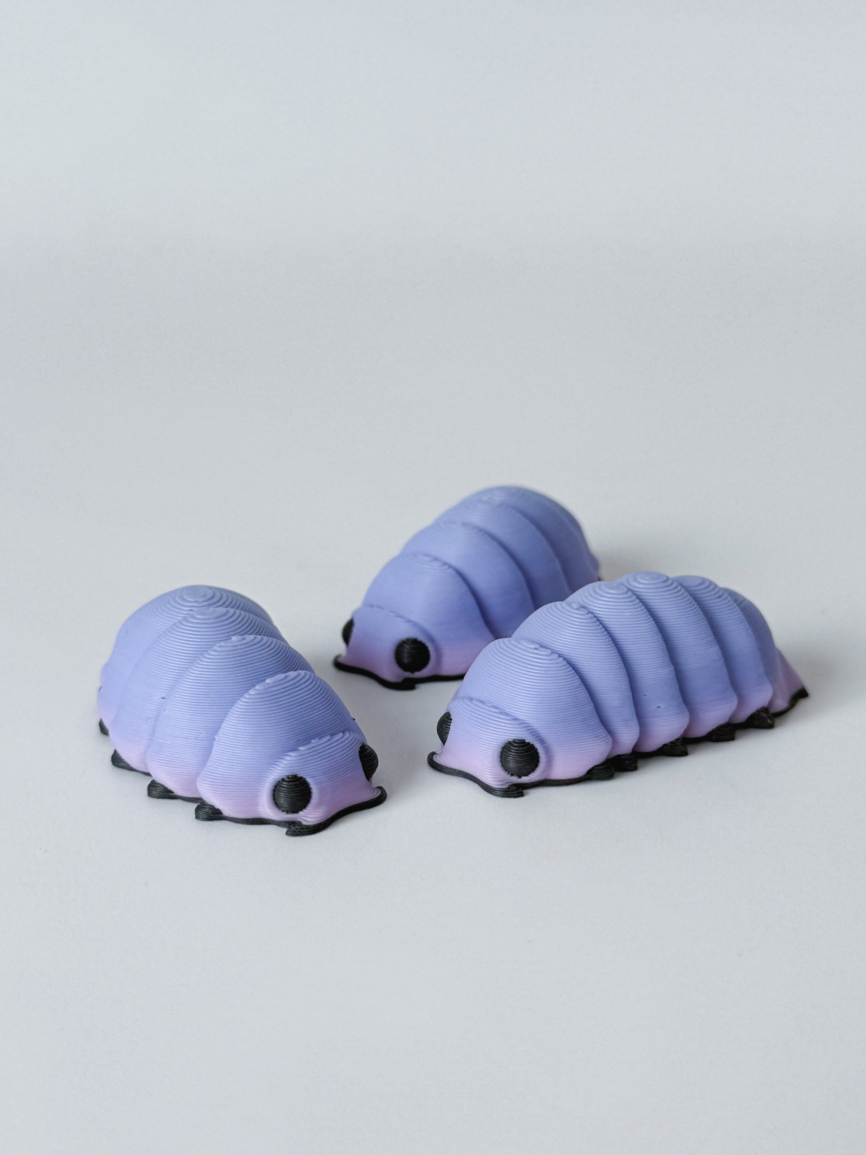 Isopods and Terrarium 3d model