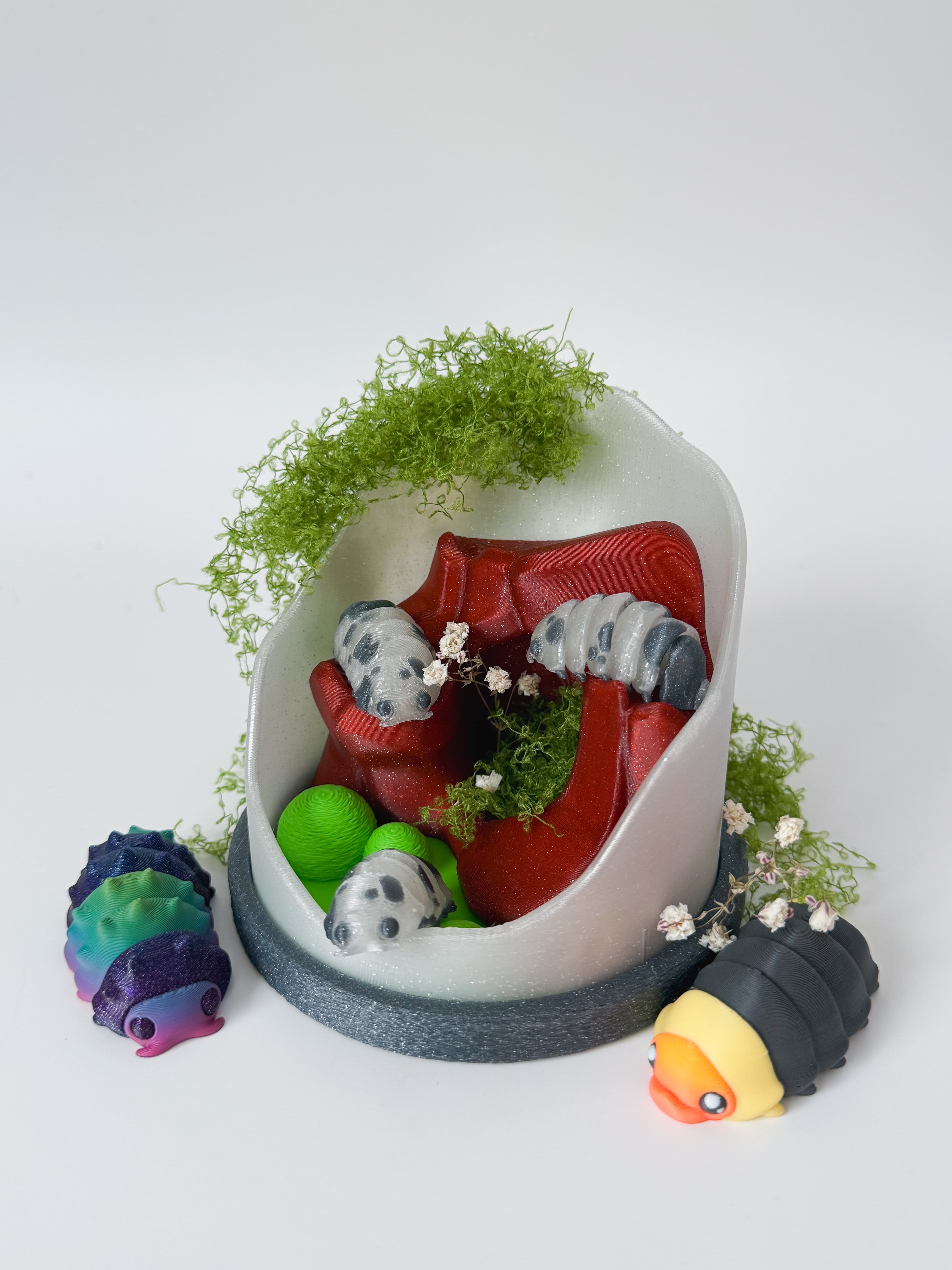 Isopods and Terrarium 3d model