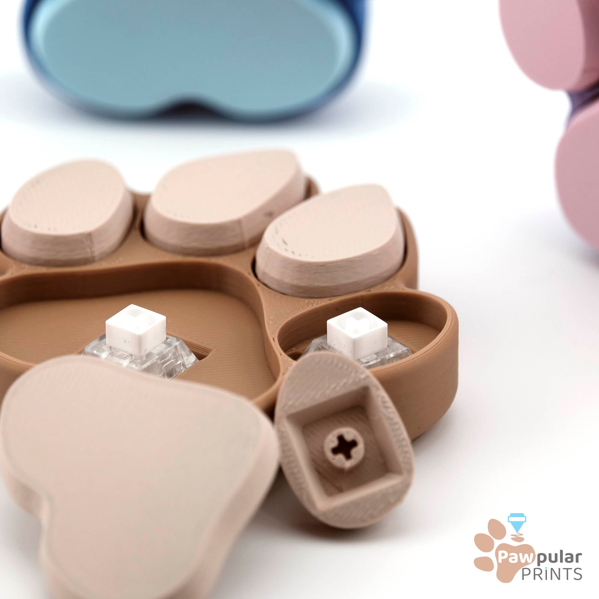 Clicky Paw Print 3d model
