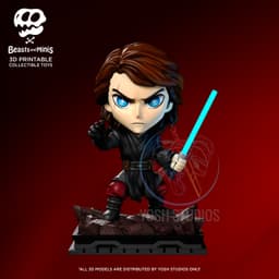 Anakin Skywalker Mini 3D Printer STL 3d model