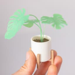 Mini Monstera & Planter 3d model
