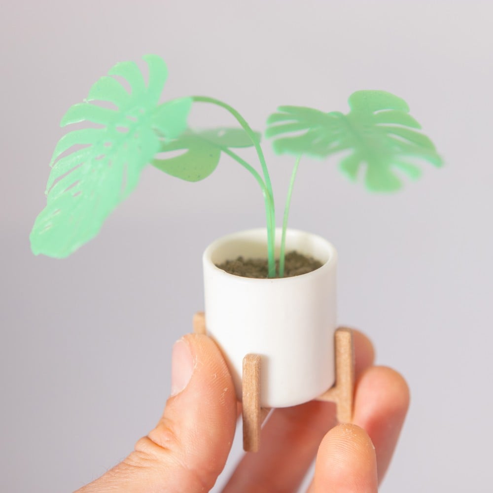 Mini Monstera & Planter 3d model