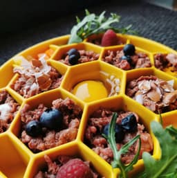 Honeycomb Slow Feeder Bowl, Dog or Cat Bowl - Dish, Safe Food, Healthy Feeding, Ergonomic Bowl 3d model