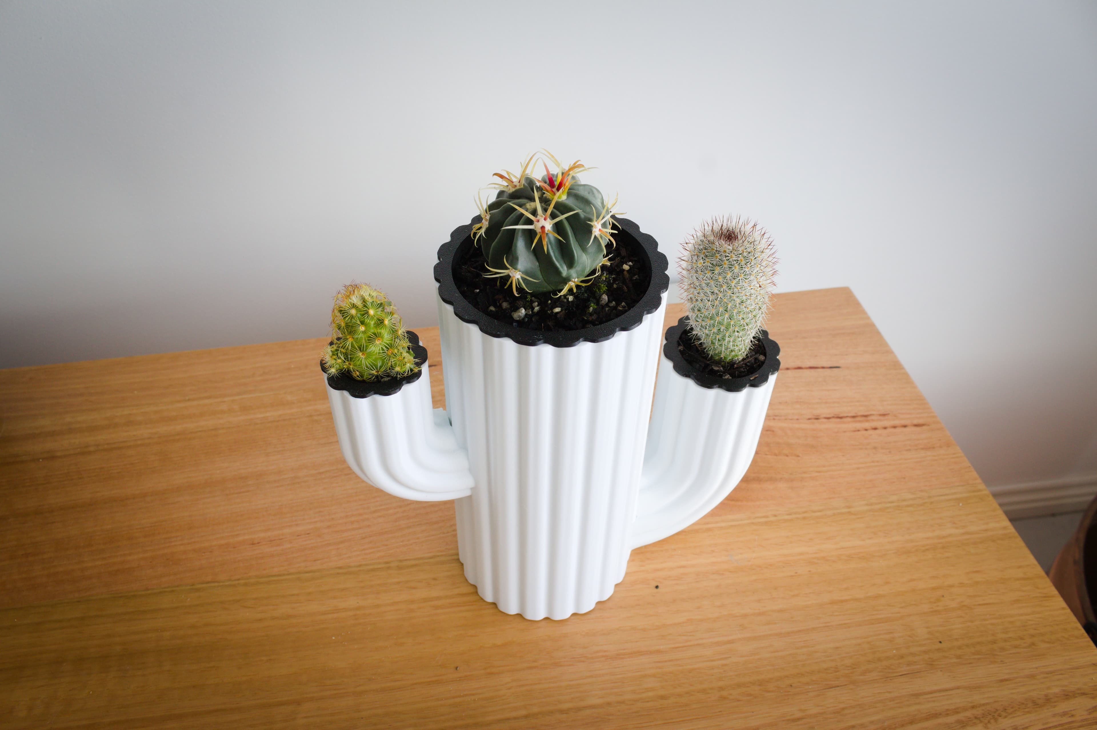 Cactus Planter – Cactus Inception 3d model