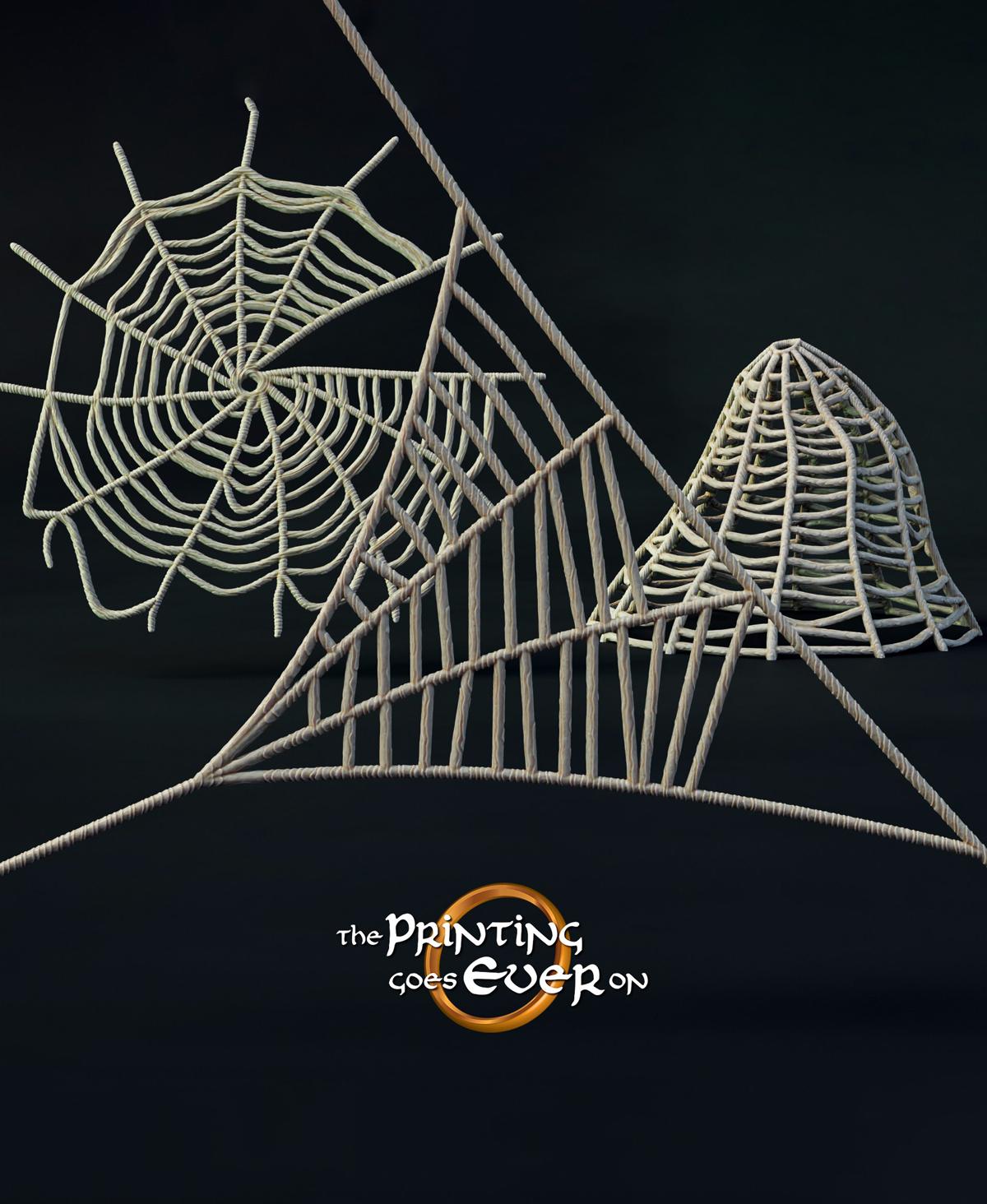 Spider Webs 3d model