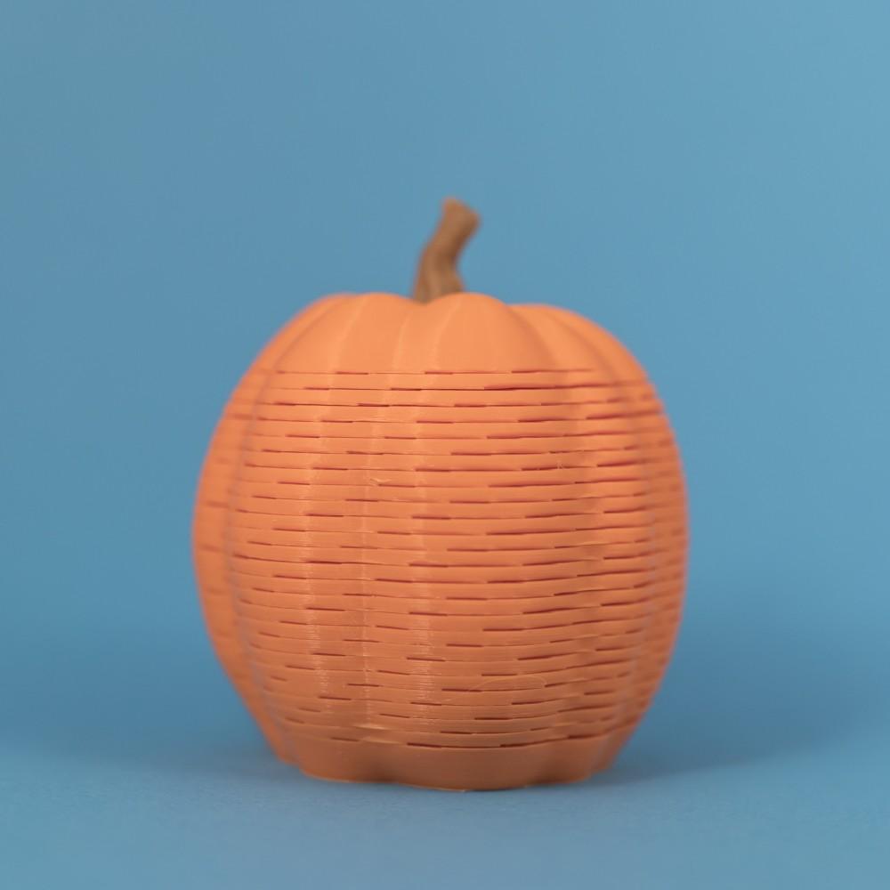 Pumpkin Springo C (3 sizes) 3d model