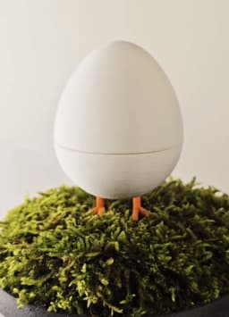 Chick in Egg - Fluffy Birds 3d model