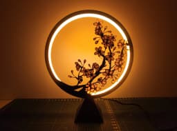 Ring Lamp 3d model