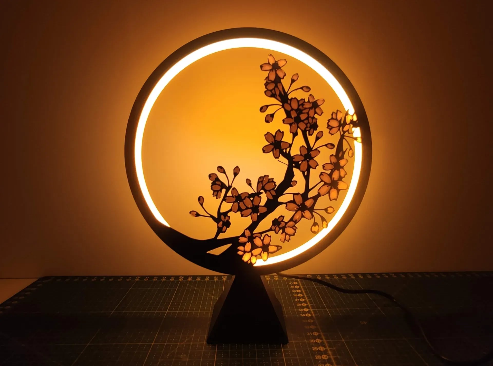 Ring Lamp 3d model