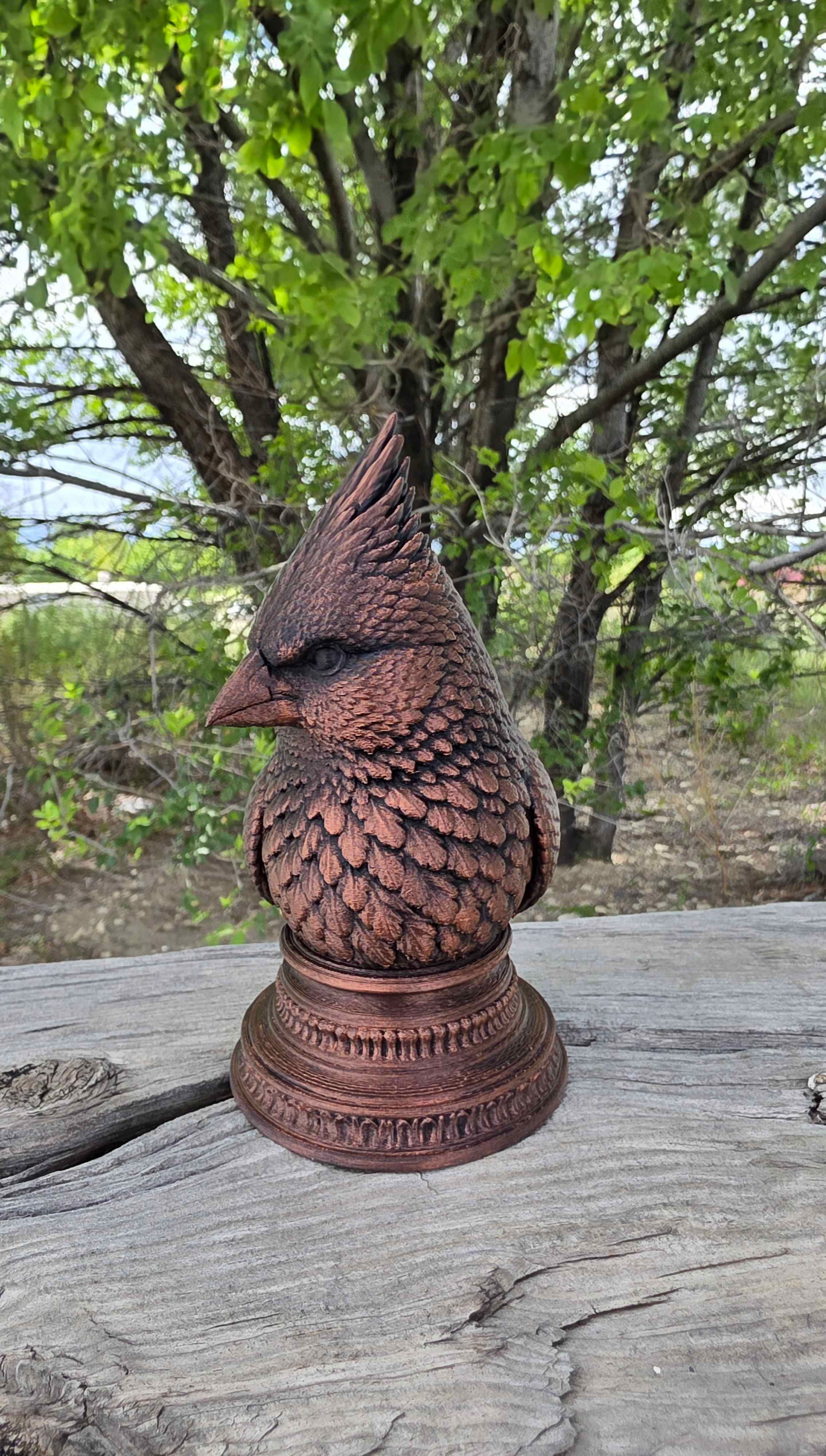 Cardinal Bust 3d model