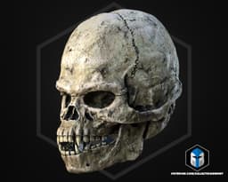 Wookie Skull - 3D Print Files 3d model